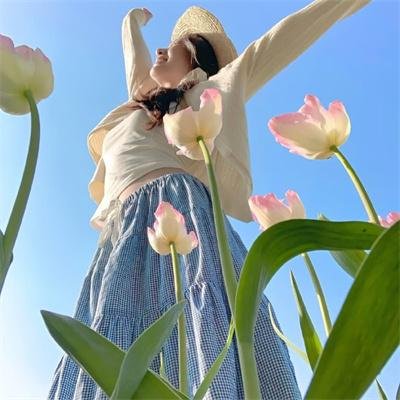醉鸟海报